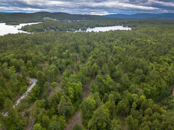 Eagle Shore Rd (13 of 17)