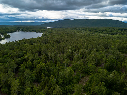 Eagle Shore Rd-mls (1 of 17)
