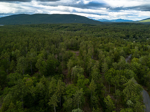 Eagle Shore Rd-mls (2 of 17)