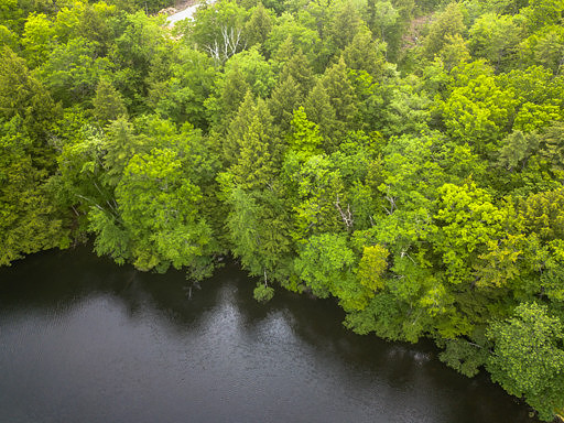 Eagle Shore Rd-mls (7 of 17)