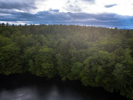 Eagle Shore Rd-mls (8 of 17)