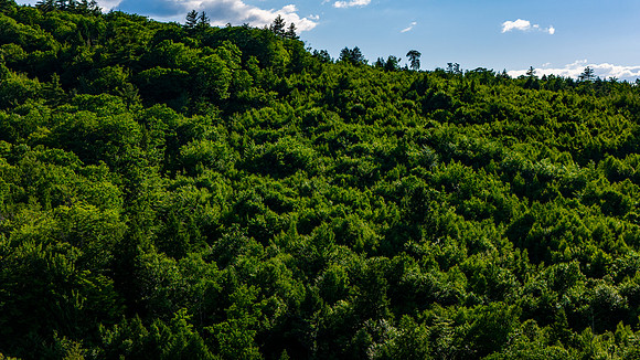 Madison Lots (21 of 34)
