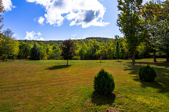 70 Rogers Rd-MLS (30 of 51)