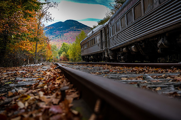 down by the tracks