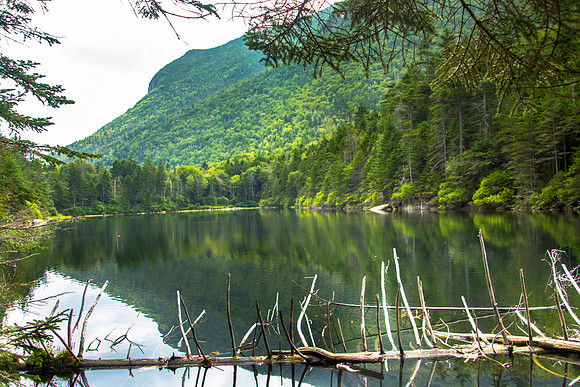 Greeley Pond Landscape