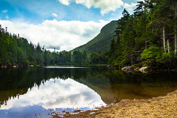 Greeley Pond Beach View