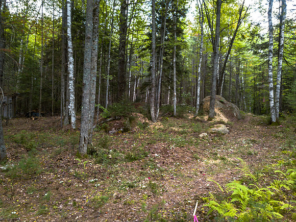 Arrowhead walkabout (2 of 31)