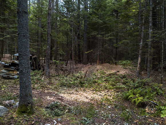 Arrowhead walkabout (7 of 31)