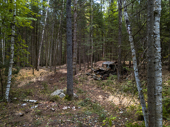 Arrowhead walkabout (8 of 31)