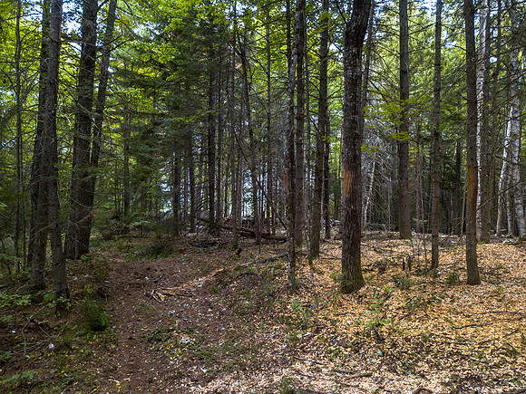Arrowhead walkabout (9 of 31)