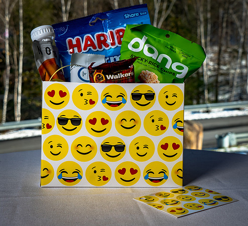 Gift bags-5