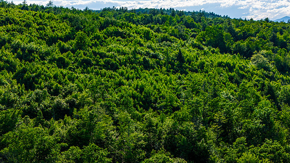 Madison Lots (22 of 34)