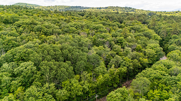 Madison Lots (5 of 34)