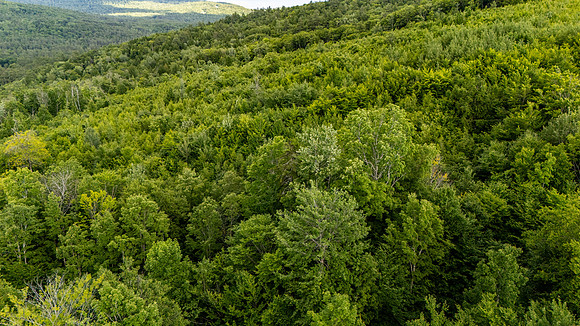 Madison Lots (10 of 34)