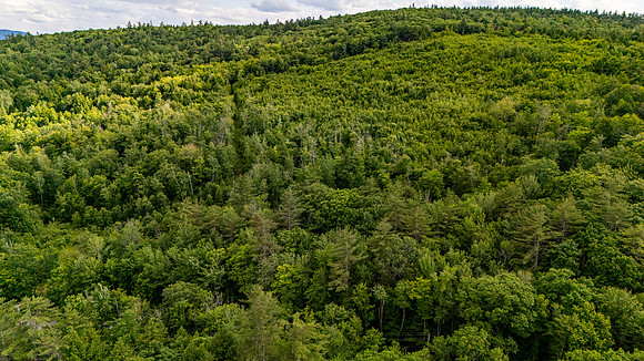 Madison Lots (3 of 34)